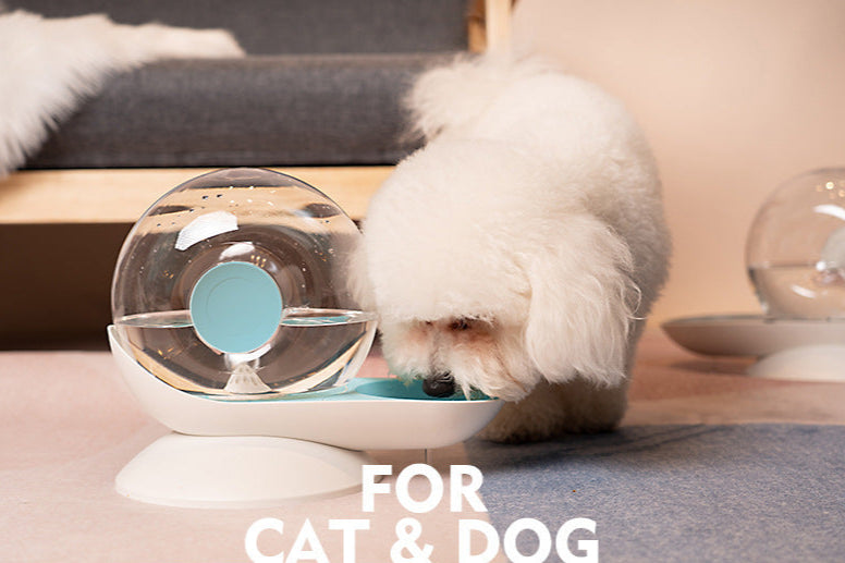 Snail Automatic Drinking Fountain Cat Feeding Drinking Water Bowl Dog Drinking Fountain