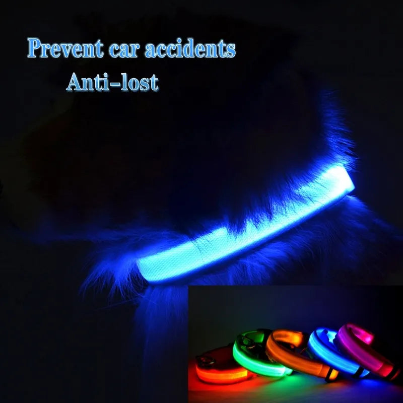 LED Dog Collar