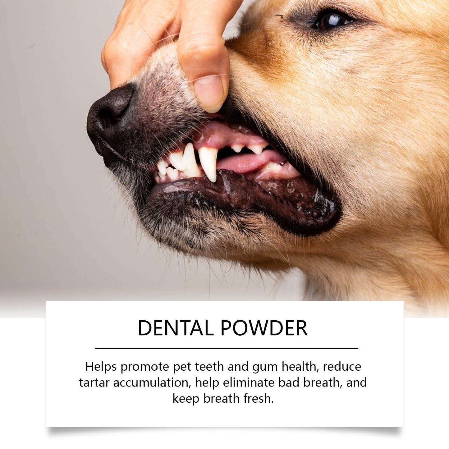 Yegbong Dog Teeth Cleaning Powder Gently Clean Pet Teeth Improves Tartar Yellow Fresh Breath