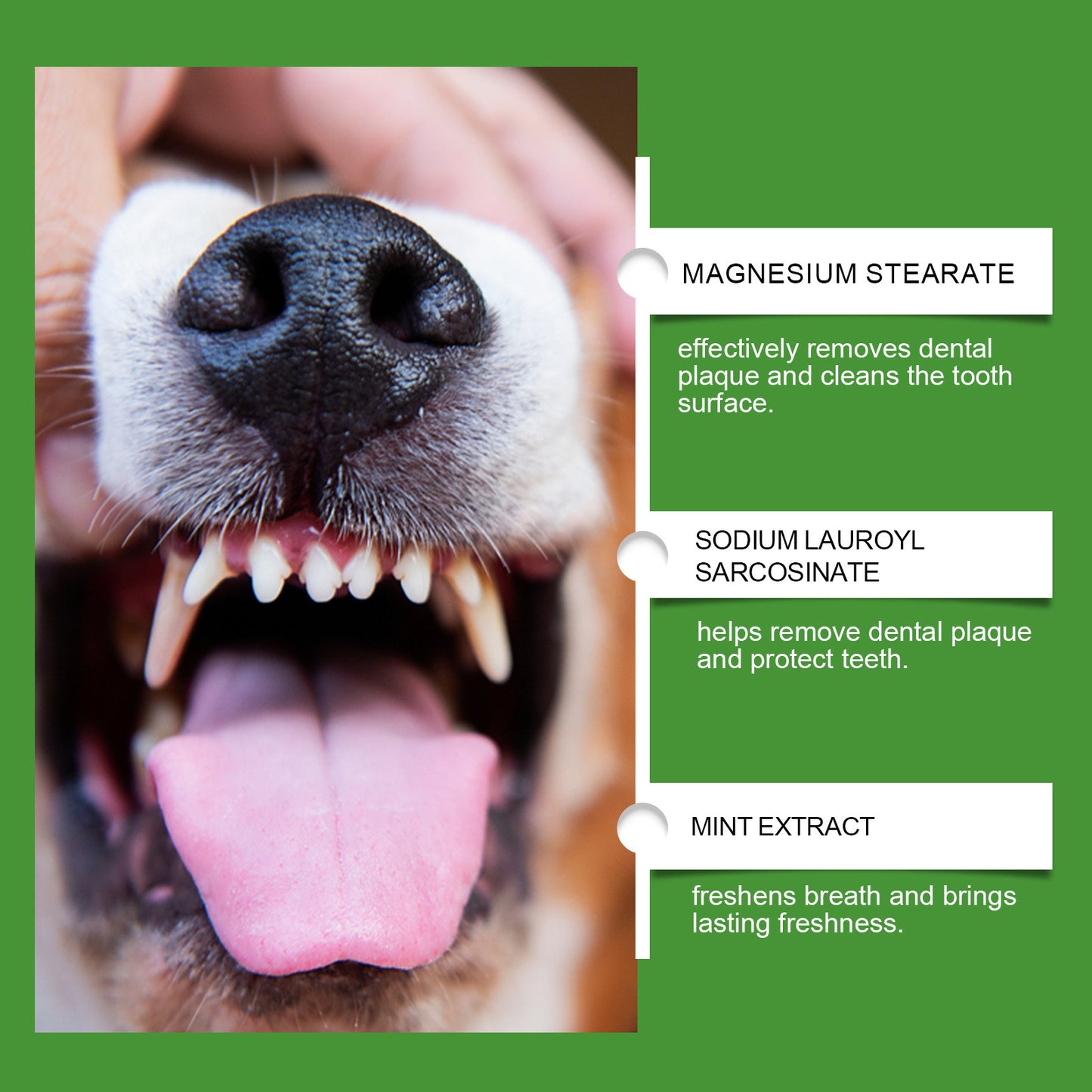 Yegbong Dog Teeth Cleaning Powder Gently Clean Pet Teeth Improves Tartar Yellow Fresh Breath