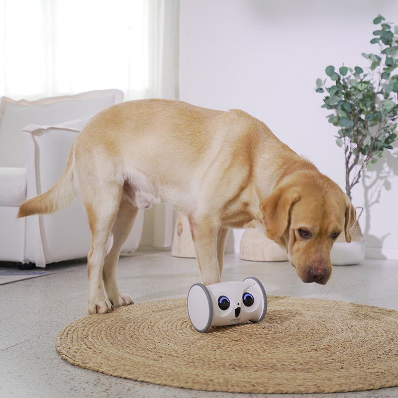 Interactive Owl Shaped Pet Toy With Snack Dispenser For Dogs Plastic Sound Making Robot That Moves And Has Camera