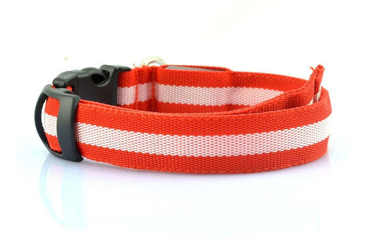 LED Dog Collar