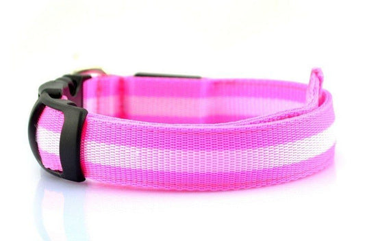 LED Dog Collar