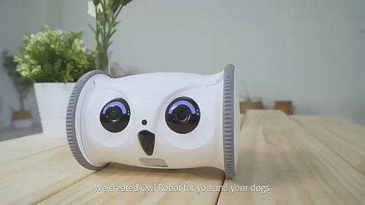 Interactive Owl Shaped Pet Toy With Snack Dispenser For Dogs Plastic Sound Making Robot That Moves And Has Camera