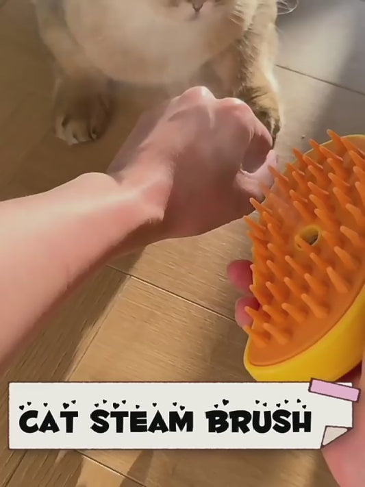 Plastic Mango Pet Combs For Dogs And Cats Electric Spray Brush Massage Comb