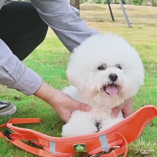 Dog Harness Pet Supplies