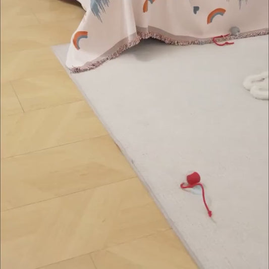Interactive Dog And Cat Toys Ball for Indoor Dogs Cats Fast Rolling on Carpet, Chirping & Motion Activate Cat Toys